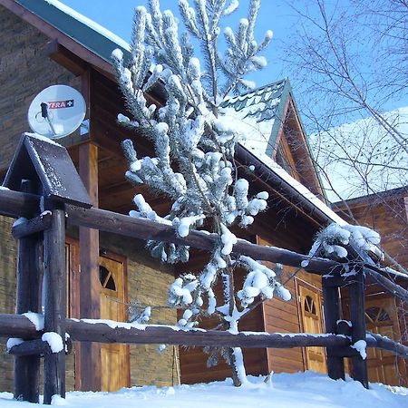 Villa Domek Z Kominkiem W Krynicy à Krynica-Zdrój Extérieur photo